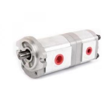 HGP-33A France Series Gear Pump