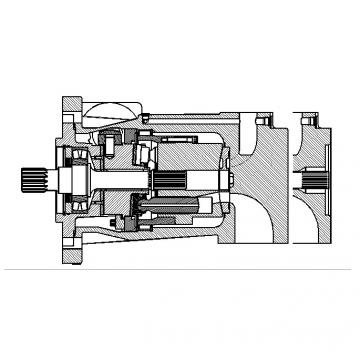 Dansion P080 series pump P080-02L1C-L20-00