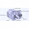 Dansion Gold cup series piston pump P8R-5L5E-9A2-B0X-A0