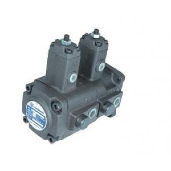 Double variable vane pump VHID Series #1 image