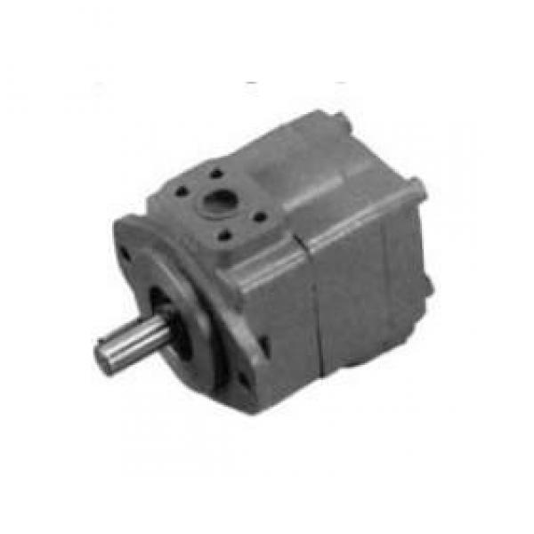 Kompass VQ15,VQ25,VQ35,VQ45 Series Vane Pump #1 image