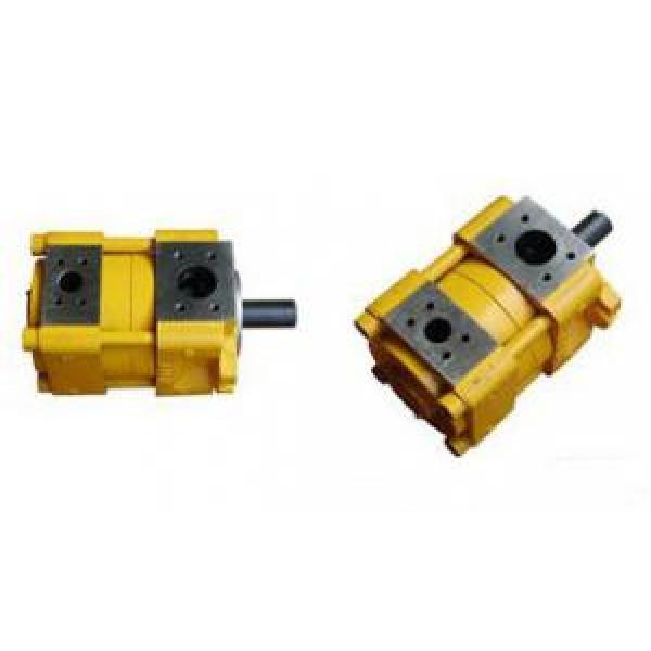 Sumitomo Germany QT Series Gear Pump #1 image