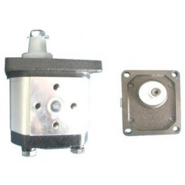 Atos Mexico Gear Pumps #1 image